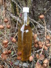 Liqueur de mélèze
